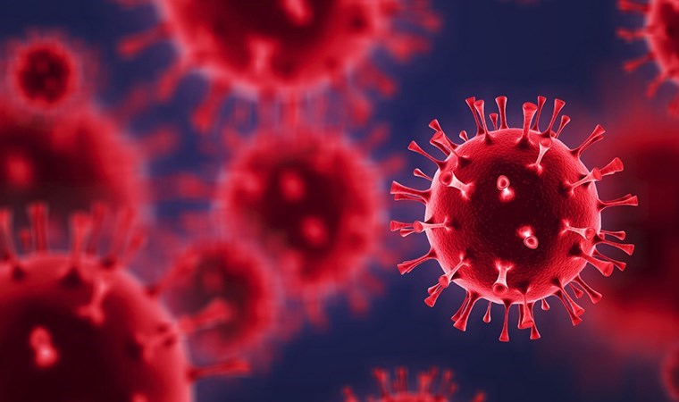 Yılbaşı öncesi salgın riski artıyor: ‘Kombo virüs’ enfeksiyonlarına dikkat!