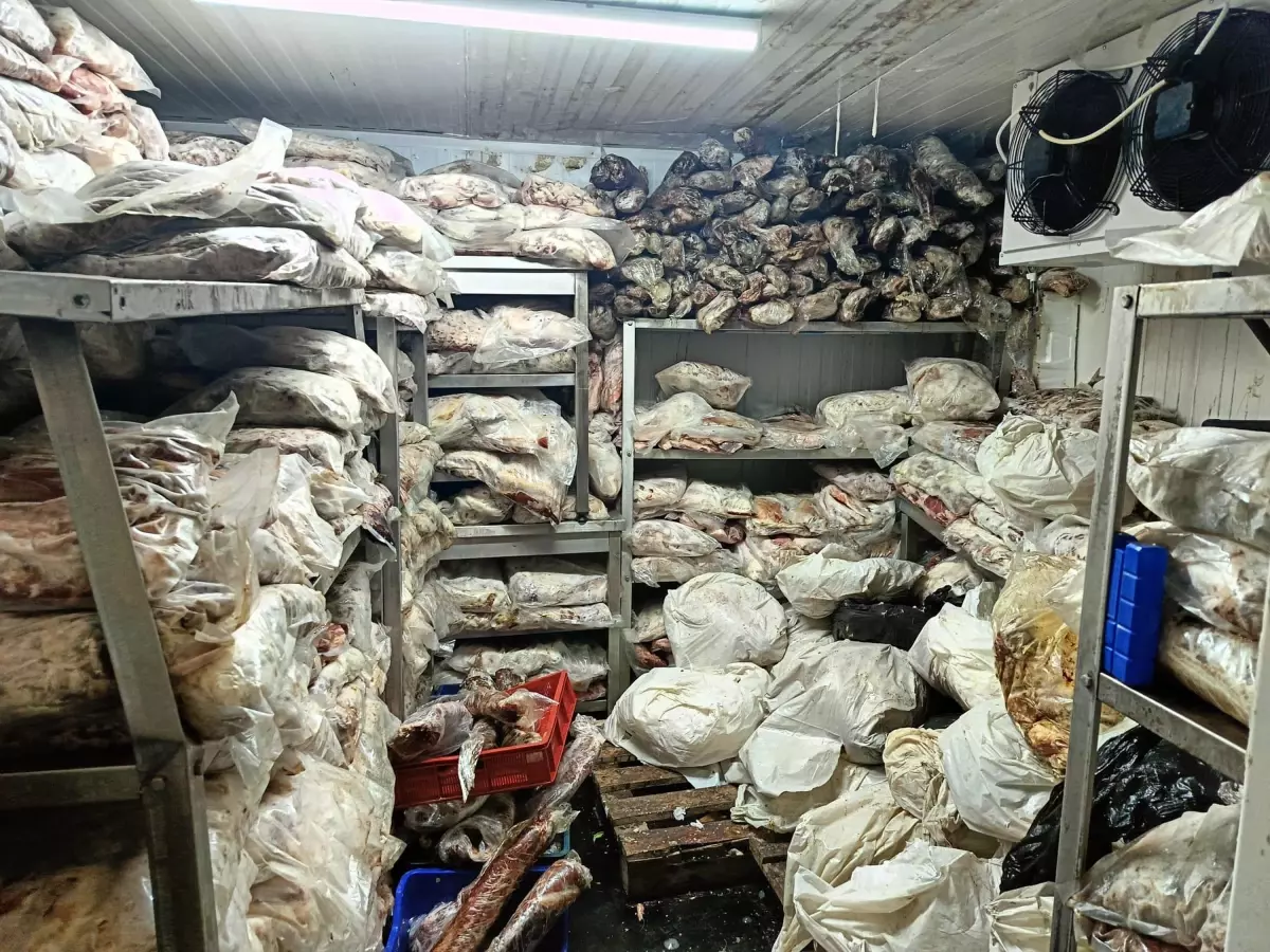 İzmir’de Bozuk Gıda Ürünlerine Operasyon: 3,8 Ton Et ve Balık Ele Geçirildi