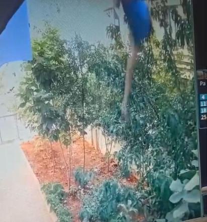 3'üncü kattan düşen Emel'in ailesinden cinayet iddiası