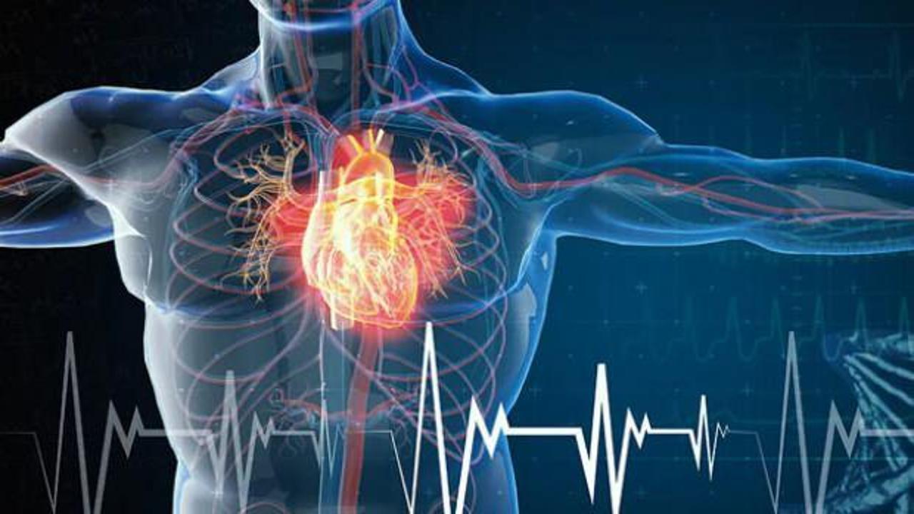 6 ayda 2,5 milyon kişi tarandı, 300 bin kişide risk tespit edildi!