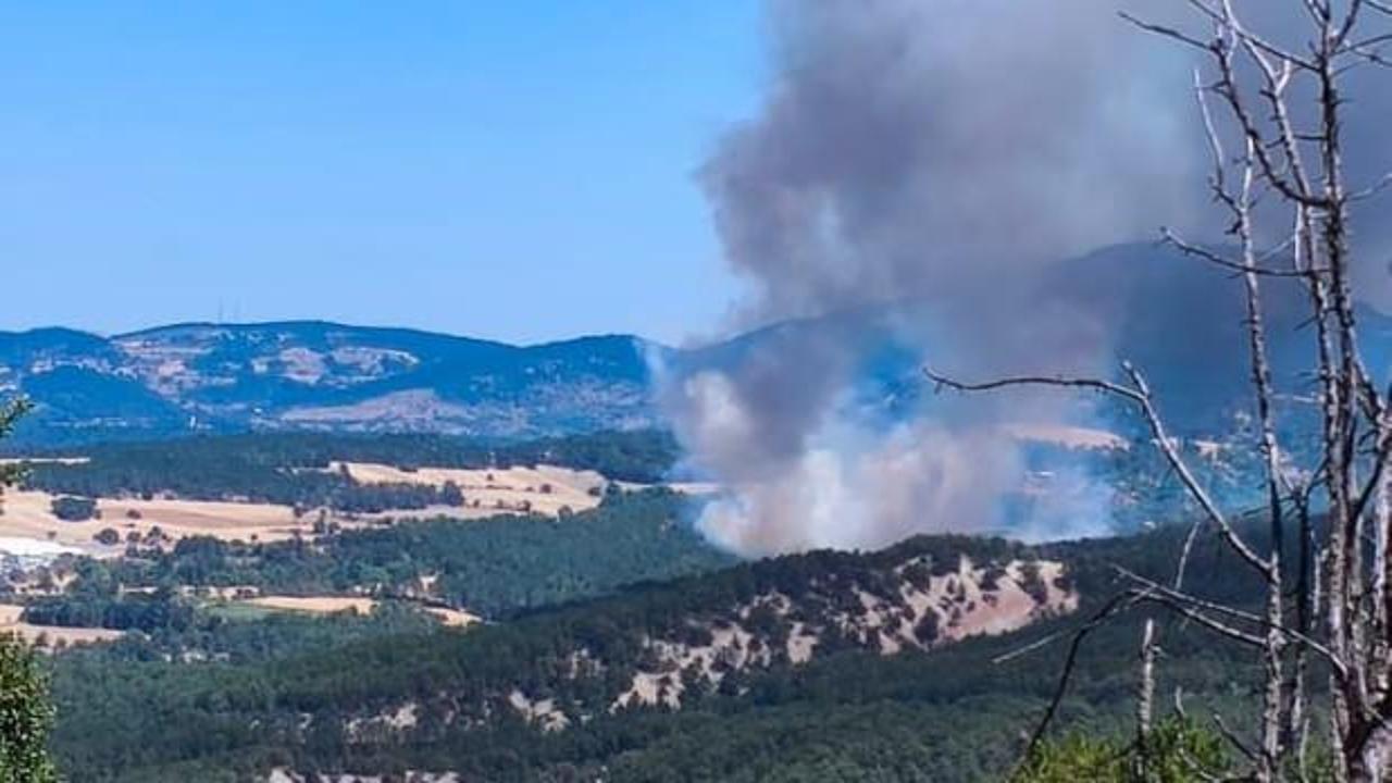 Bolu’da orman yangını