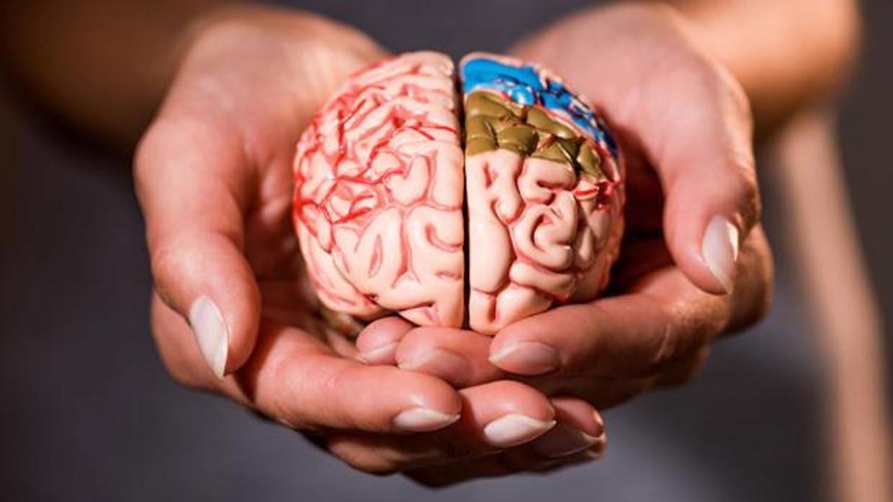 Beyninizi 8 sene birden gençleştiriyor! Şartlara sahip olan yaşadı