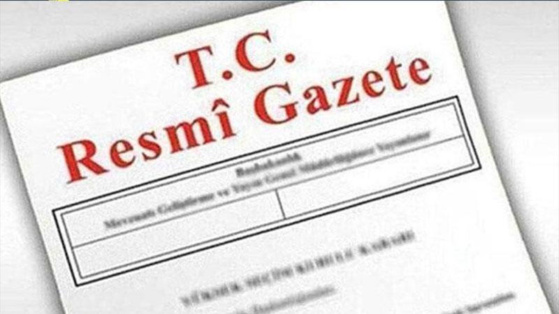 Uluslararası Sağlık Hizmetlerinde İş Birliği Yönetmeliği, Resmi Gazete’de