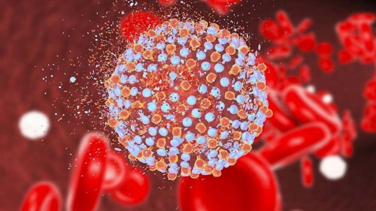 Uzman isim uyardı: Kapı kapı dolaşıp Hepatit C virüsü bulaştırıyorlar