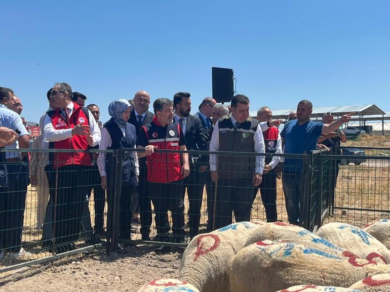 Bakanlıktan 1600 üreticiye 160 bin küçükbaş hayvan desteği