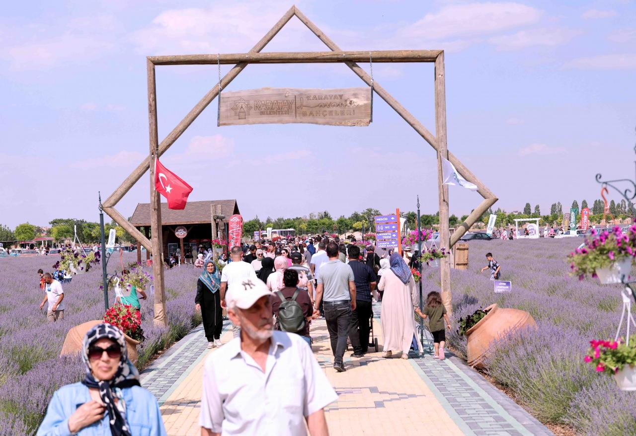 Türkiye'nin en büyük lavanta bahçesinde festival coşkusu
