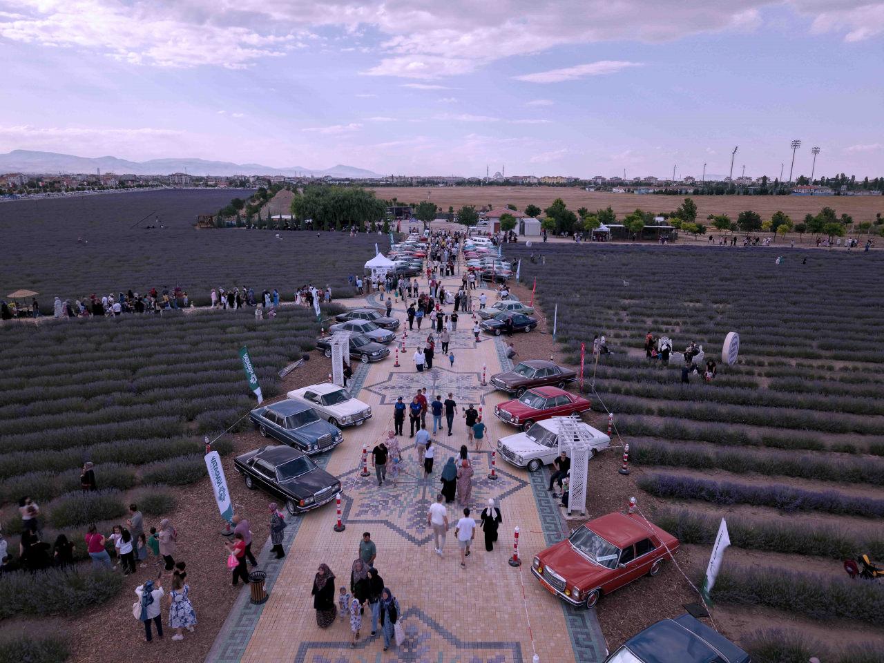 Türkiye'nin en büyük lavanta bahçesinde festival coşkusu