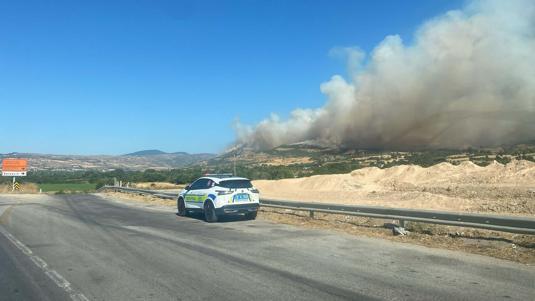 Çanakkale'de orman yangını