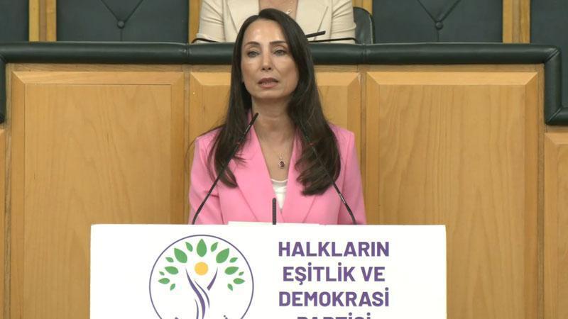 DEM Parti’li Hatimoğulları: Temmuz ayında çerçeve yasayı çıkaralım