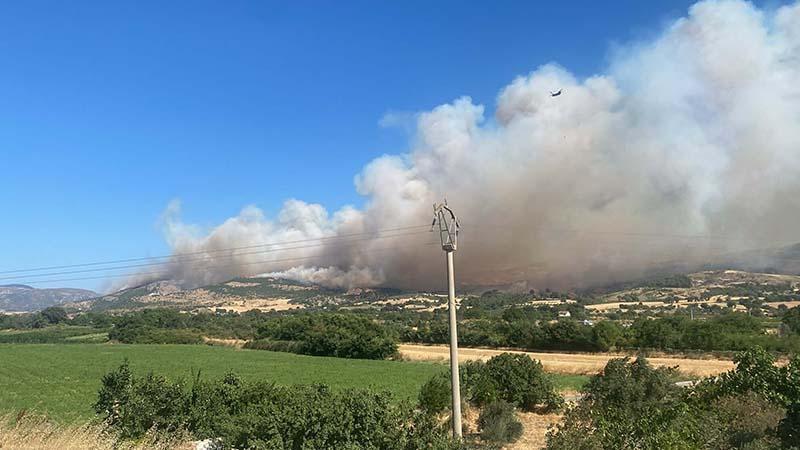 Çanakkale’de orman yangını